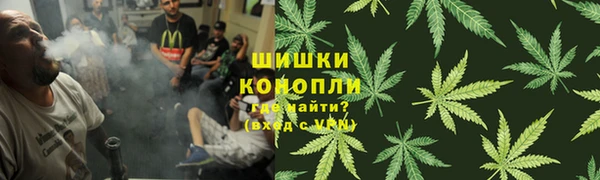 прущие грибы Алексин