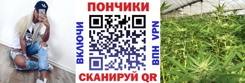 Бошки марихуана гибрид  OMG как войти  Узловая 